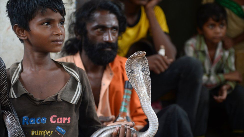 The son of an Indian snake charmer holds a cobra snake in Kapari village, around 40km southwest of Allahabad in Uttar Pradesh state, 25 July 2017