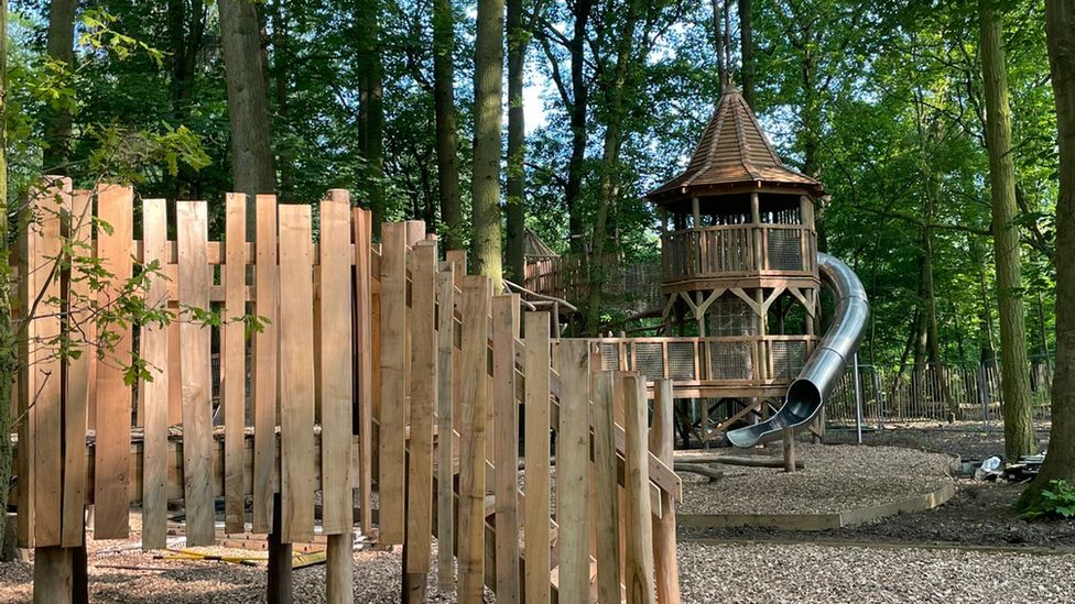 Woodland play area