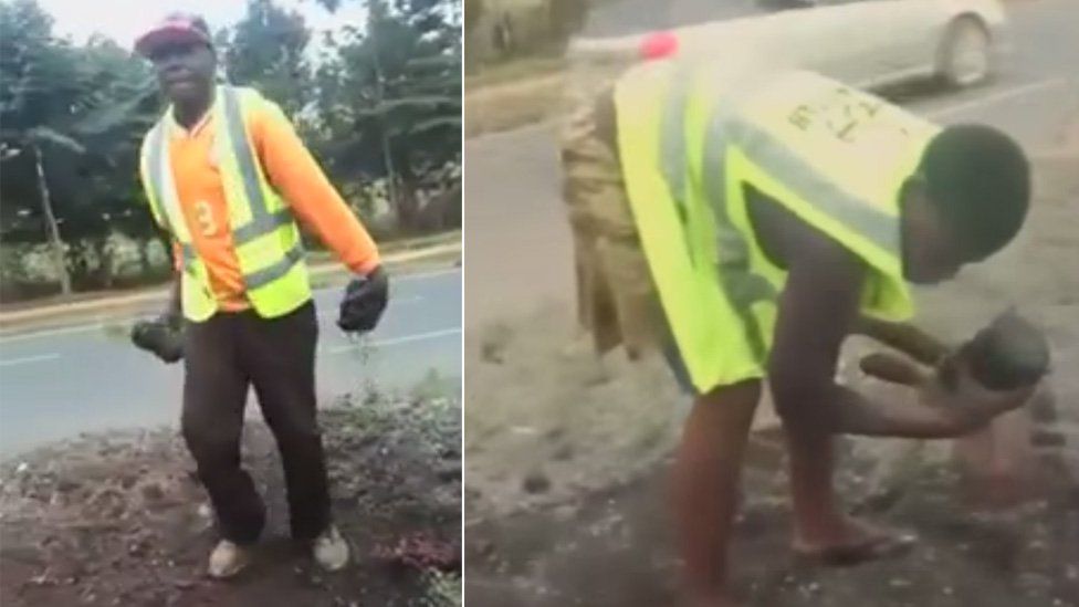 People in video appearing to take plants out of the ground