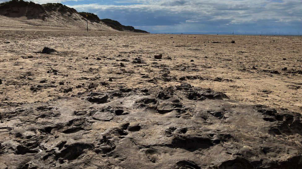 9 000 year old human footprints found on formby beach bbc newsround