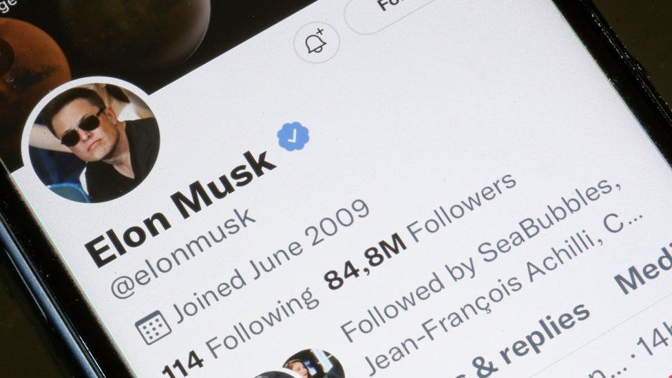 Elon Musk Twitter profile.