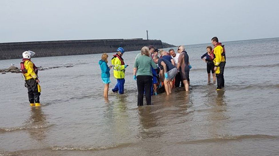 Stranded dolphin and rescuers