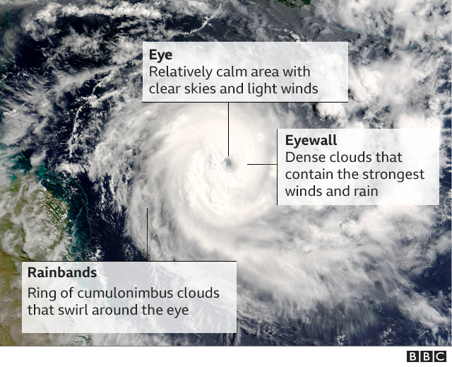 Hurricanes A guide to the world's deadliest storms BBC News