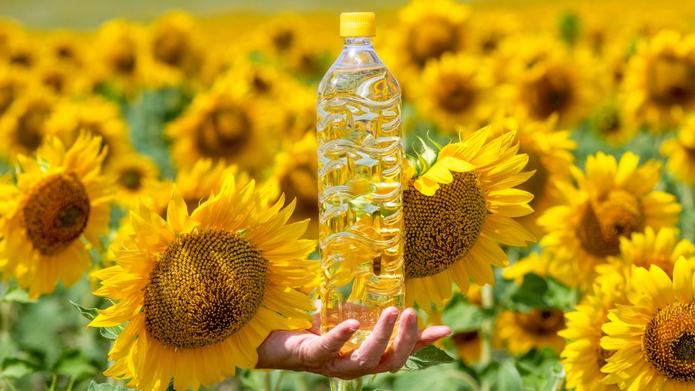 Sunflower oil substitutes named by food watchdog - BBC News