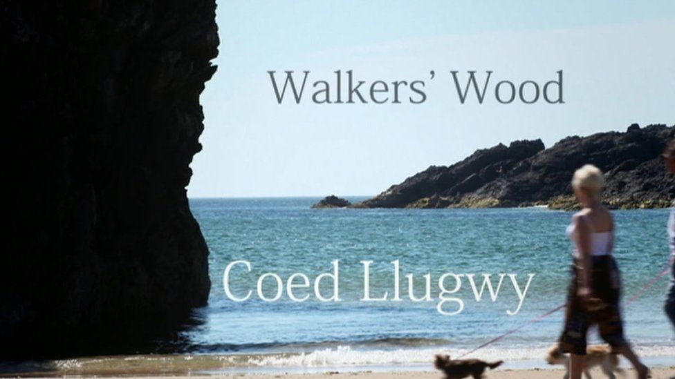 Walkers' Wood has replaced Coed Llugwy