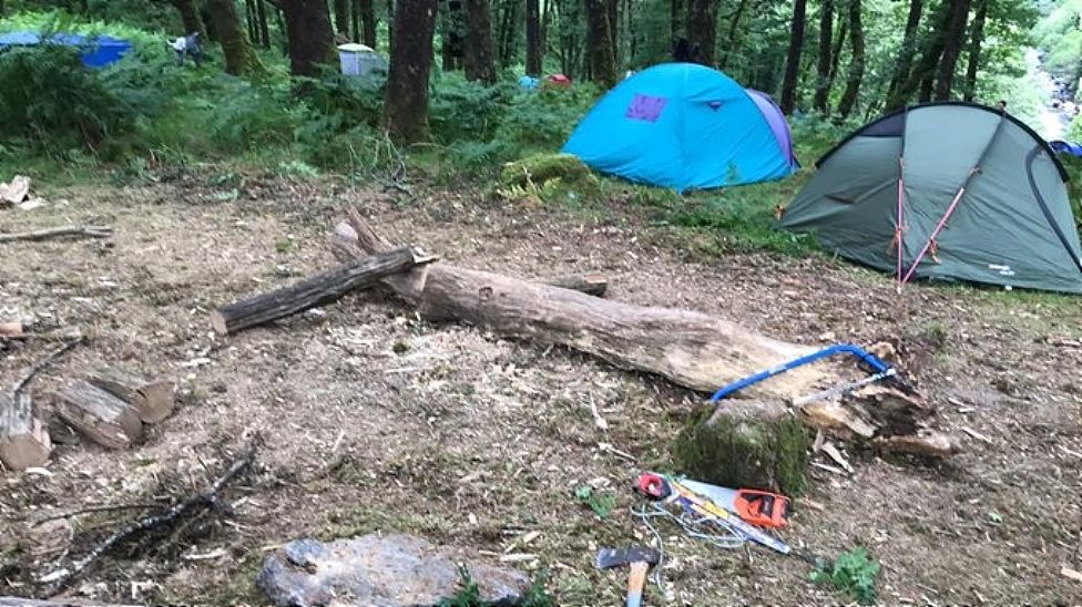 Dartmoor illegal campers 'damaged ancient woodland' BBC News