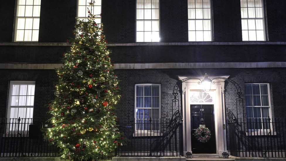The Christmas Tree outside Number 10 Downing Street