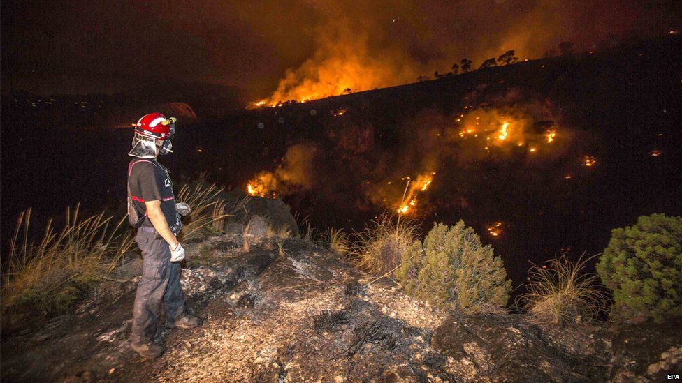 A firefighter looks at the forest fire burning in Canon de Almadenes, one of three sites consumed by fire in Cieza, southeastern Spain, early 7 August 2015