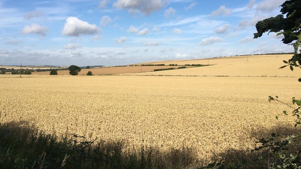 Fields in North Uttlesford which were earmarked under the plans