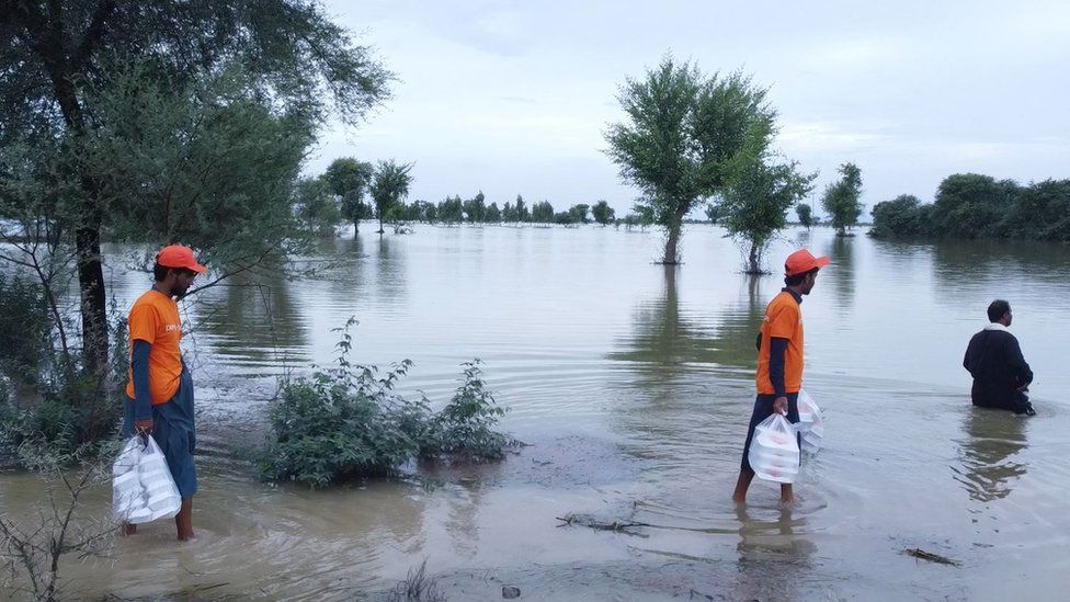 Pakistan flood disaster 'gut-wrenching', says aid worker - BBC News