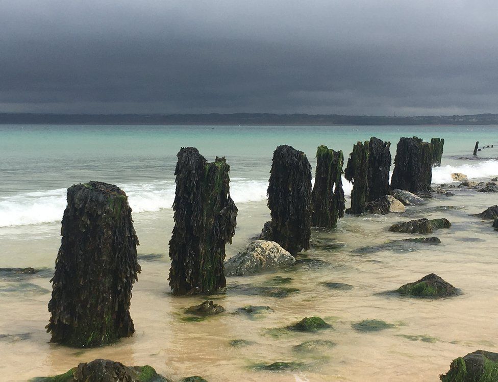 Seaweed covered pillars on a beach