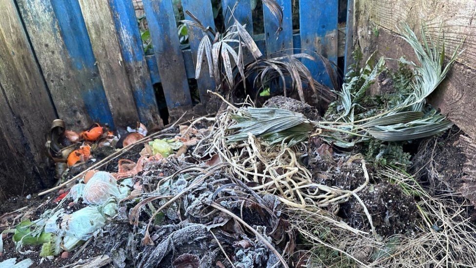Food waste decomposing on a compost heap at Let's Grow Preston