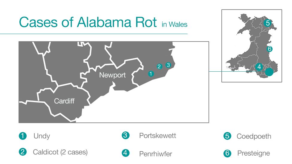 Map showing Alabama Rot cases in Wales