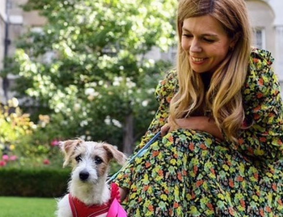 Dilyn the dog and Carrie Symonds