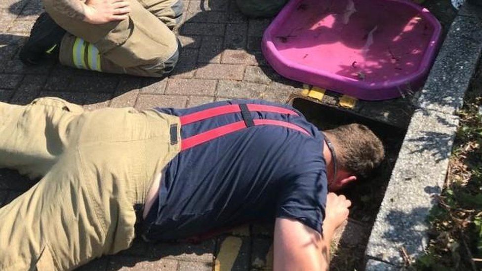 Firefighters rescuing ducklings from a drain