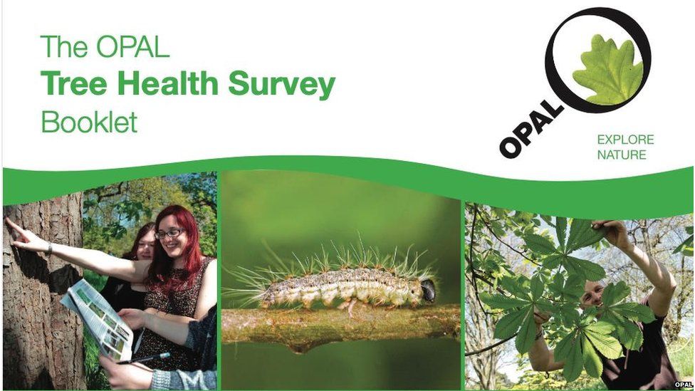 Cover of the Opal tree health survey booklet (Image: Opal)