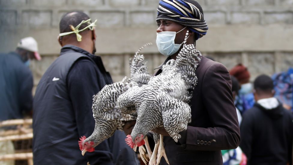 A poultry seller holding two birds in Addis Ababa, Ethiopia - Saturday 1 May 2021