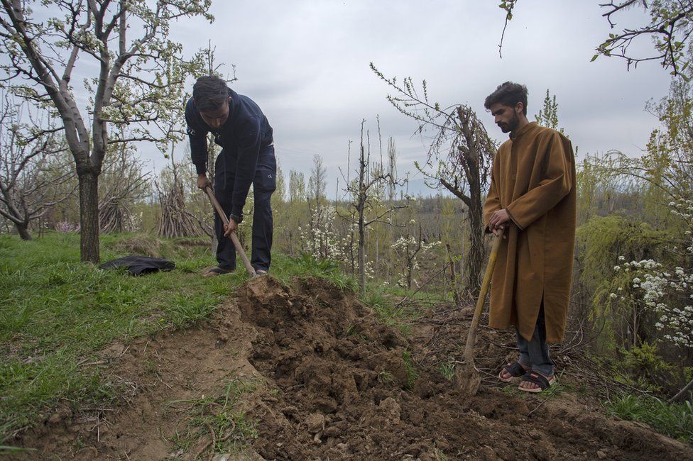 Kashmir search