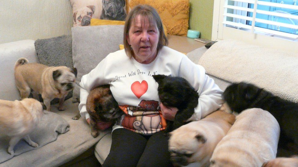Denise Harris with some of her rescue dogs