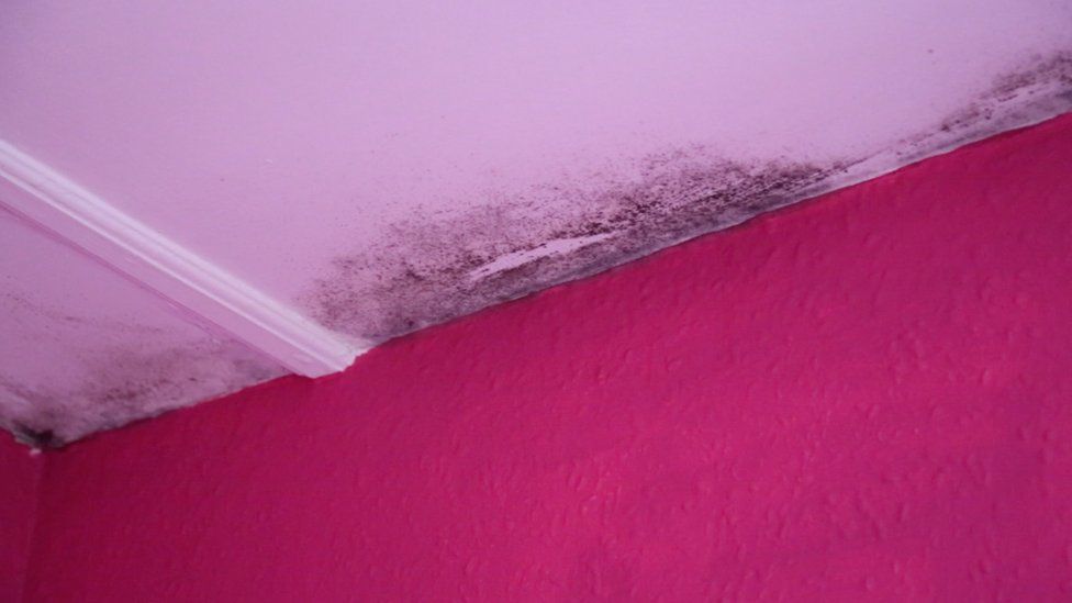 Black mould on the ceiling of Ava's bedroom