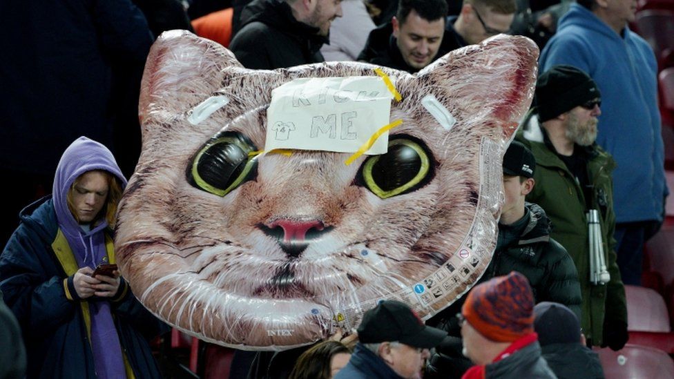 Kurt Zouma: RSPCA to start legal action against footballer over cat video -  BBC Newsround