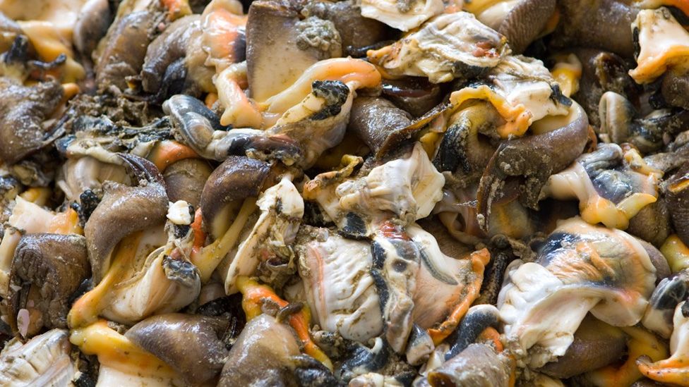 Close-up of conchs