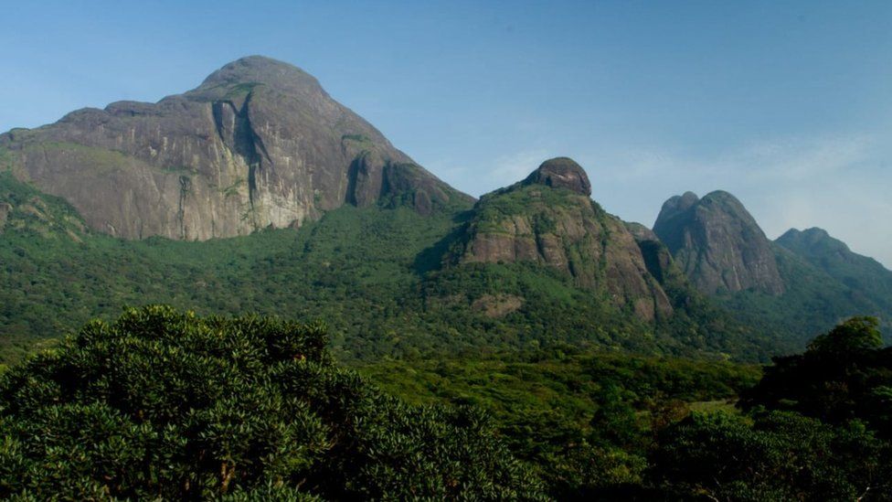 Agasthyakoodam mountain