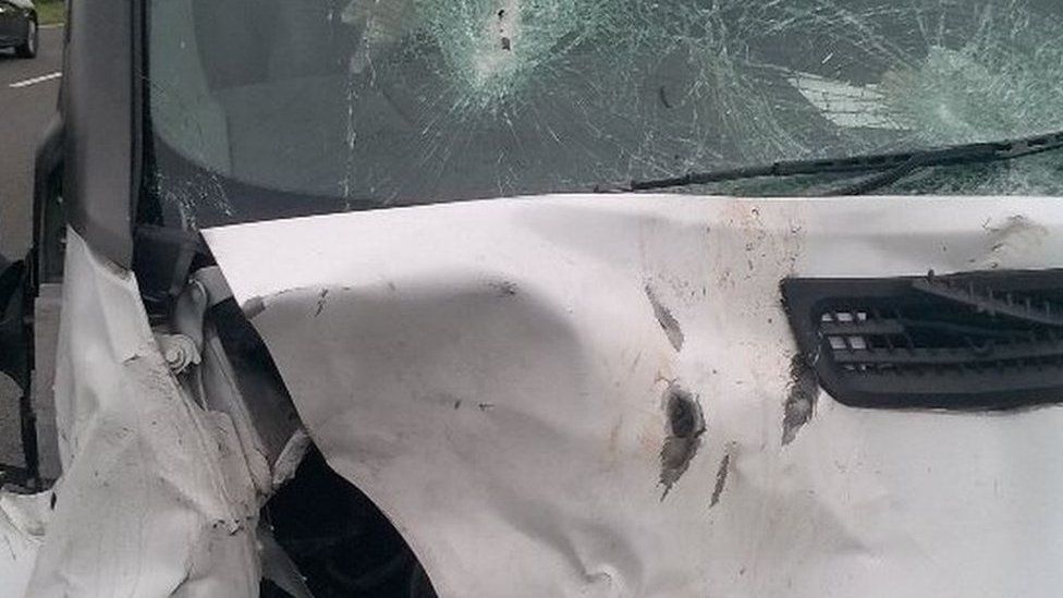 Van damaged after colliding with a deer