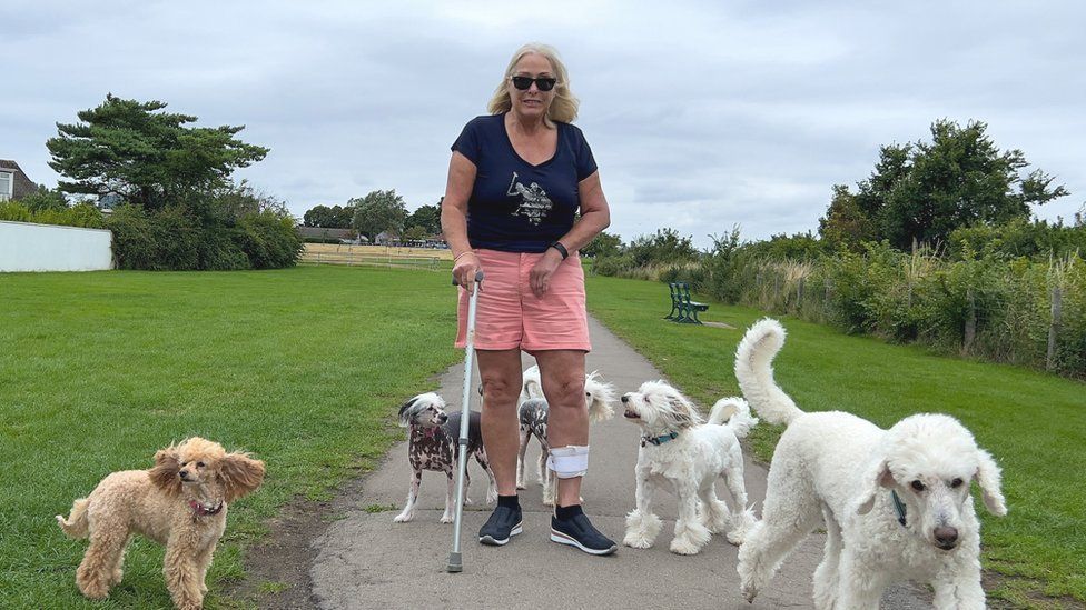 Julie walking her six dogs