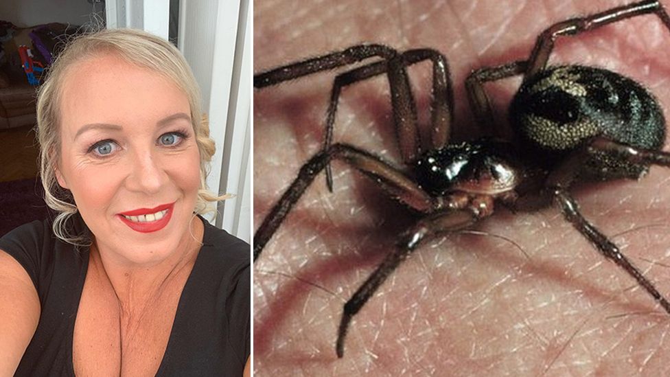 Louise Edwards and a false widow spider