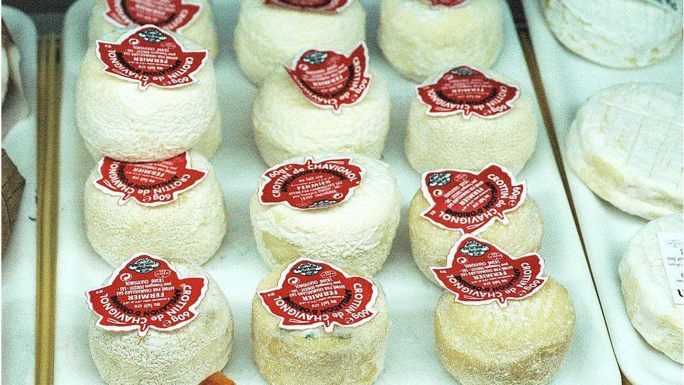 Crottin de Chavignol French soft cheese made of goat milk