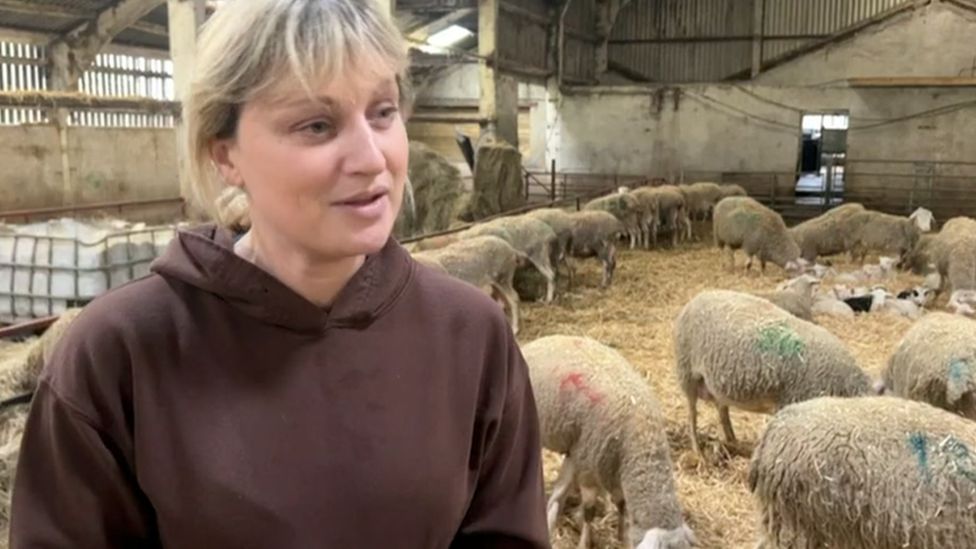 Sheep farmer Nicola Robinson