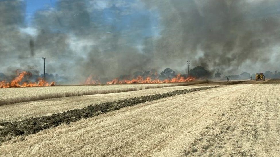 Fire raging across corn field in Ongar, Essex