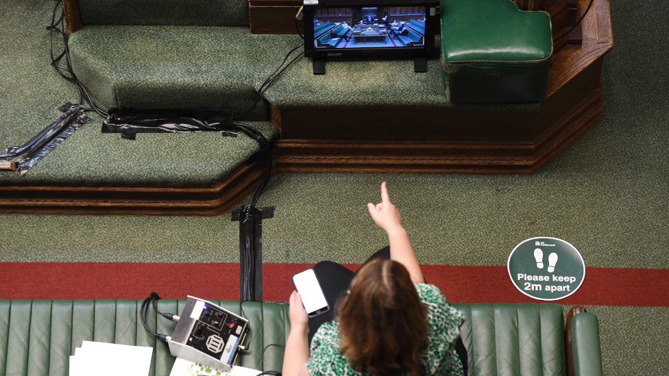 Woman points at screen in House of Commons