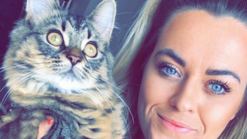 Suffolk cat put down after being 'kicked or stamped on' BBC News