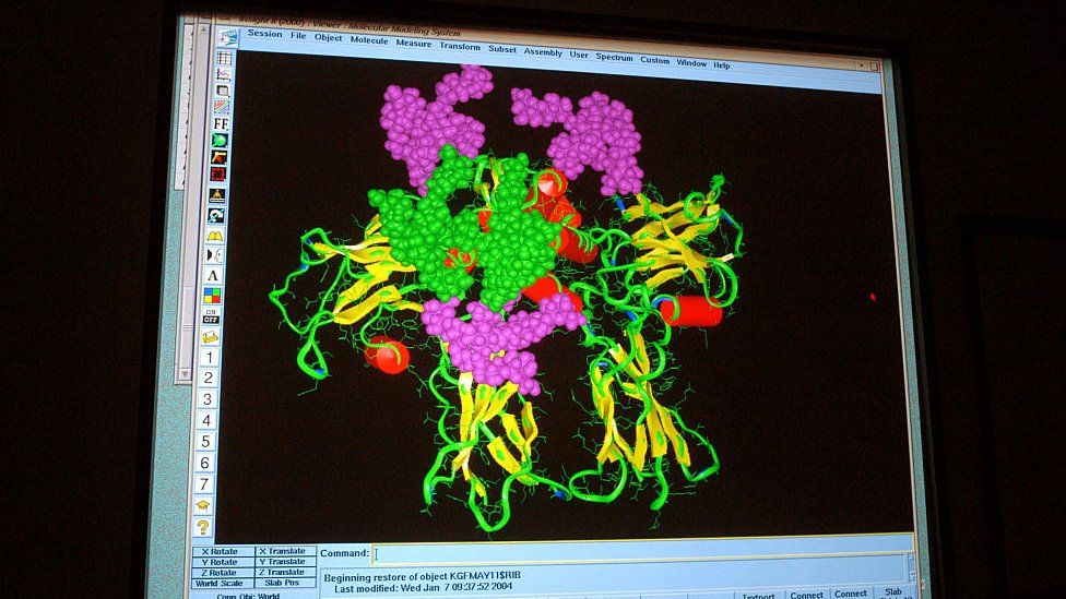 A protein bound to a receptor shown on computer