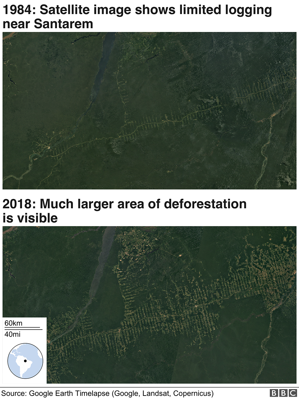 Satellite images of deforestation showing change since 1984