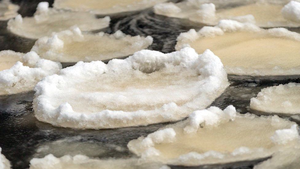 Rare ice pancakes form on River Swale in Richmond BBC News
