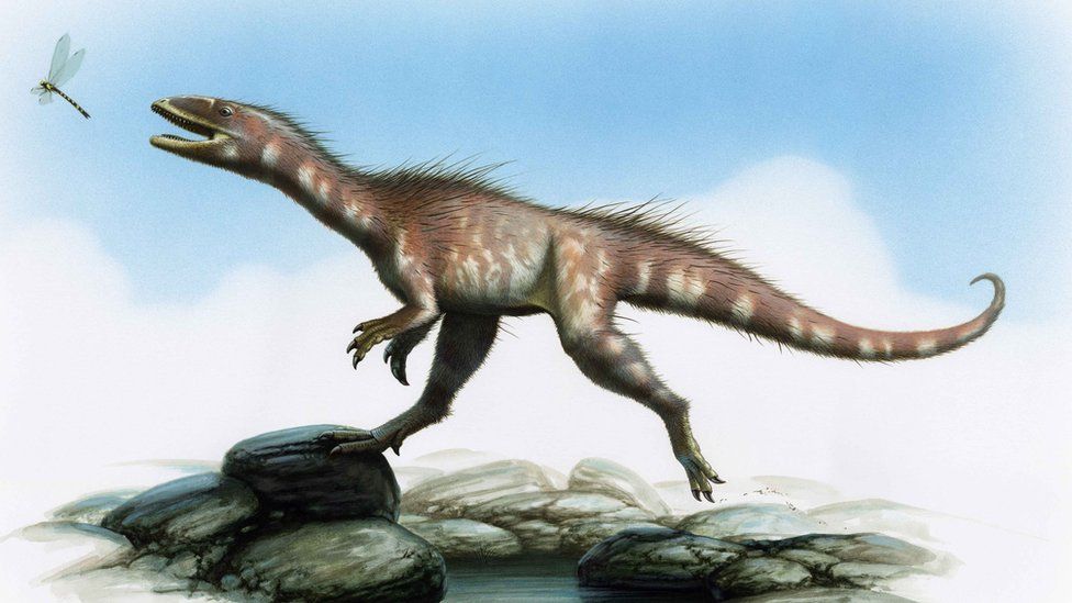 A small theropod dinosaur