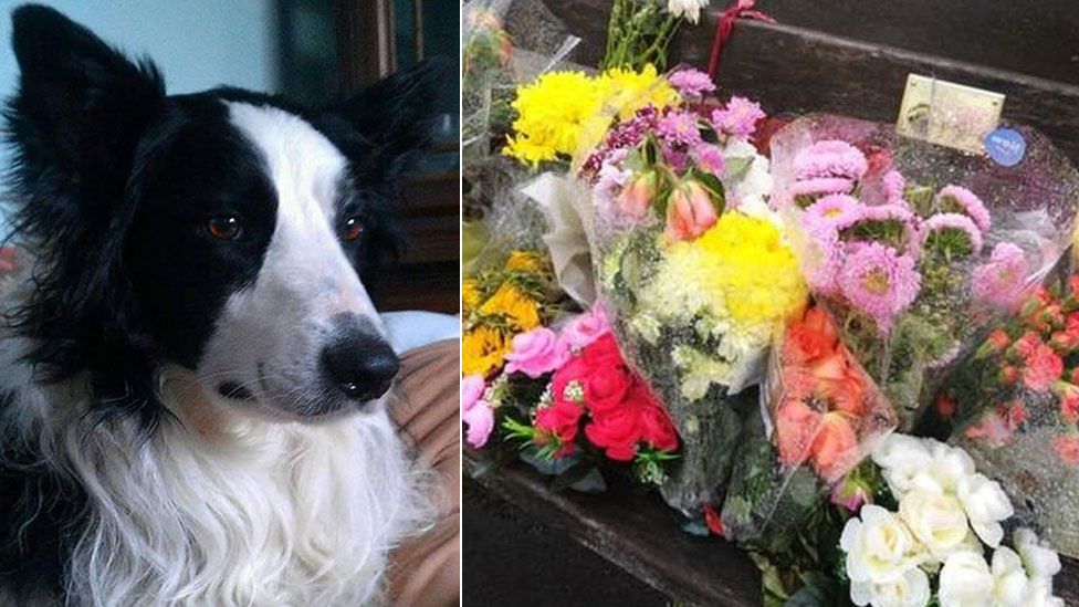 Coley and floral tributes