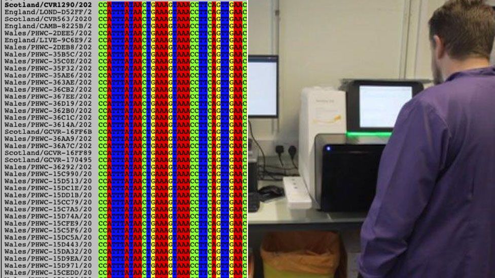 Feeding data into the computer for analysing the genetic structure