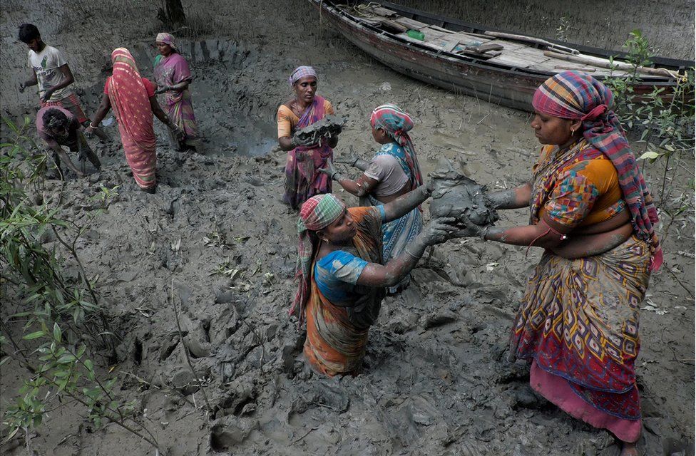 A group of women pass materials to each other to build a dam in India