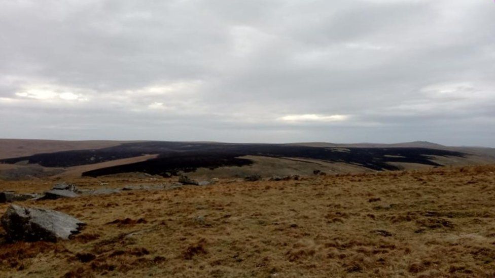 Fire damaged moorland