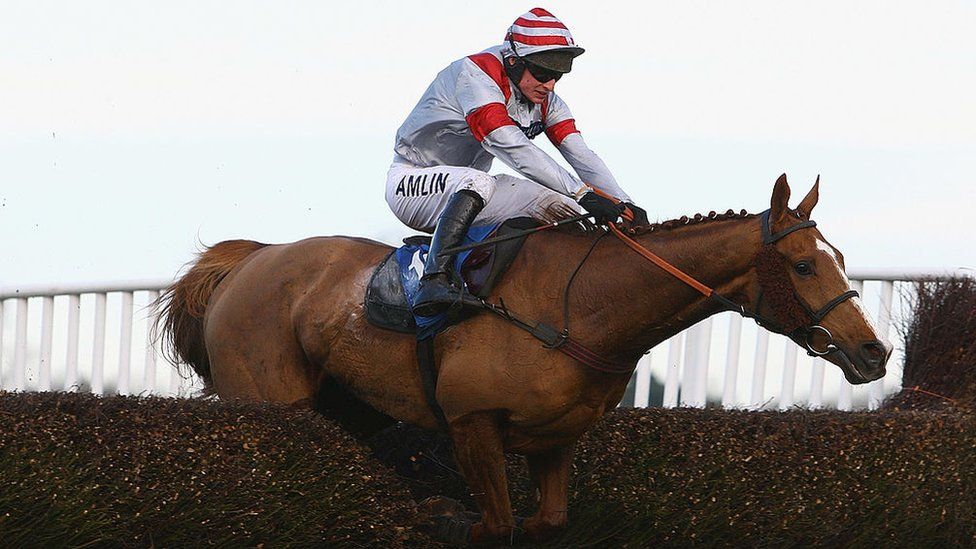Dream Alliance - raised on an allotment and owned by a syndicate of friends paying ten pounds a week - he went on to win the Welsh Grand National in 2009