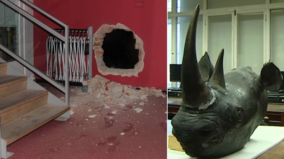 Hole in wall in Durham museum and rhino horn gang attempted to steal in Norwich