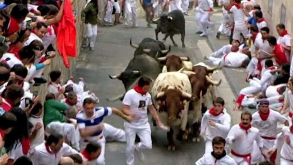 Bull kills French woman at Aigues-Mortes festival race - BBC News