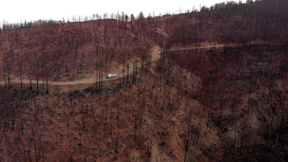 Požiare na Evii zanechali mŕtvu krajinu bez stromov