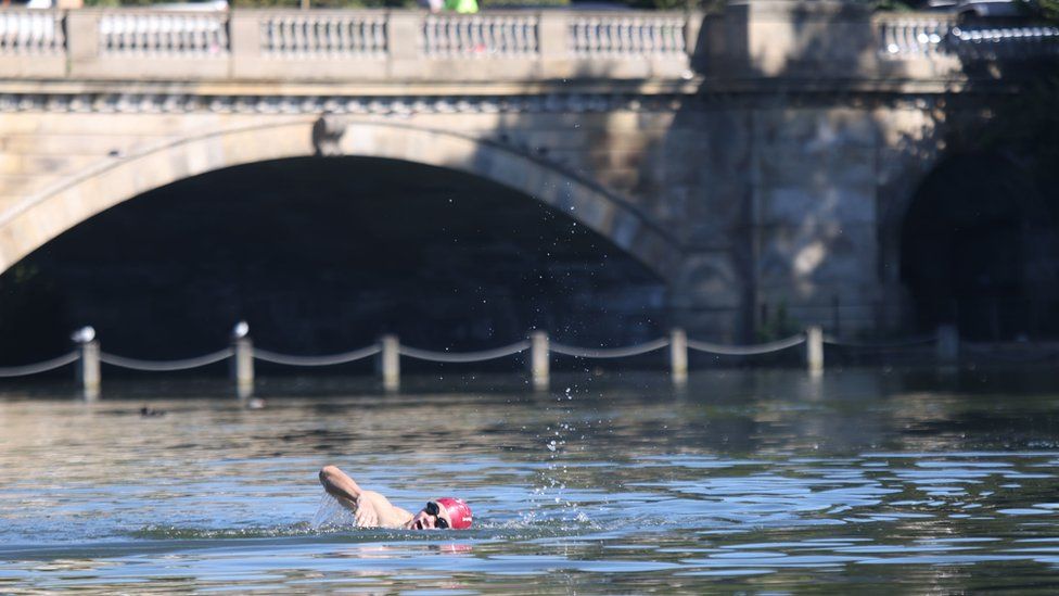 Early morning swimmer, London, 11 July