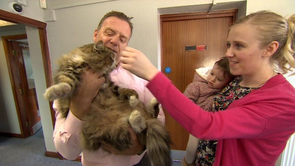 Cat reunited with owner