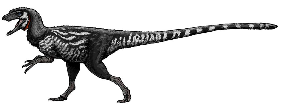 Staurikosaurus fiyatı